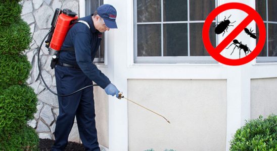 Çifteler Dezenfeksiyon böcek ilaçlama ve haşere kontrolü — ilaclama-tr.com